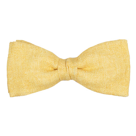 Бабочка ATELIER F&B