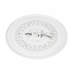 Накладной светильник Citilux BOSS CL751451G