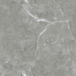 Stone Cool Grey Керамогранит серый 60х60 Полированный