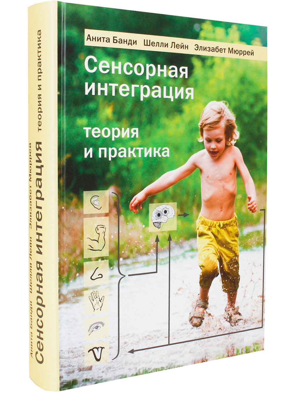 Сенсорная интеграция. Теория и практика