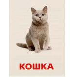 Обучающие карточки по методике Г. Домана "Домашние животные и птицы" 1716778