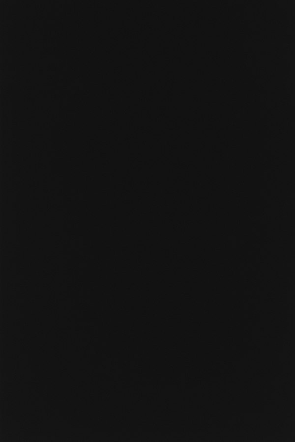 Бамбуковая эко-панель Black