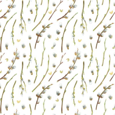 верба на белом