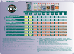 Canna Rhizotonic