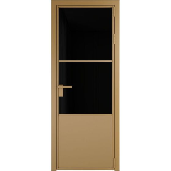 Алюминиевая дверь 20AG золото стекло чёрный триплекс