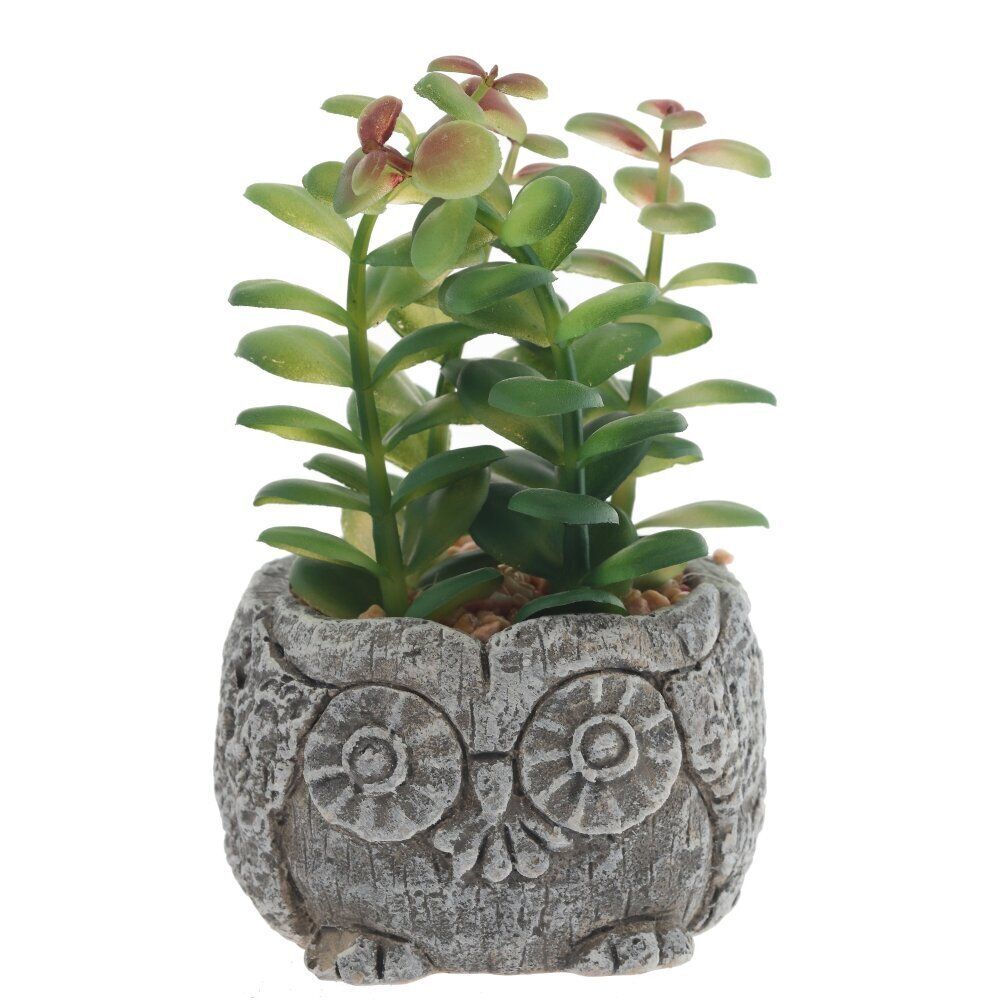 GAEM Цветочная композиция "Суккулент", L11 W11 H12 см