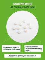 ФУНГИЦИД БИО ИНТА-ВИР АЛИРИН-Б 10ТАБ