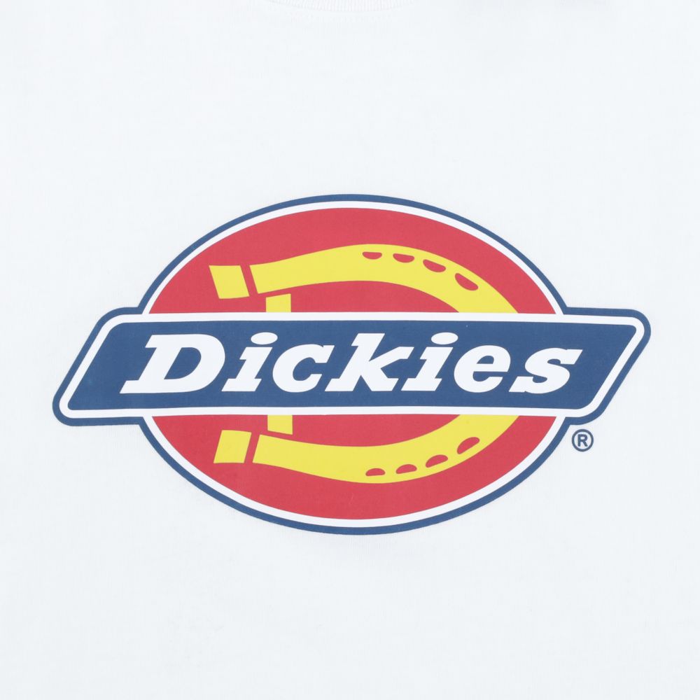 Лонгслив Dickies L/S Tri-Color Logo Graphic Tee (white)
