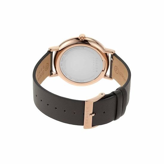 Женские часы Skagen SKW2794