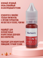 Пигмент для губ Hanafy № 10. Barberry, 10 мл