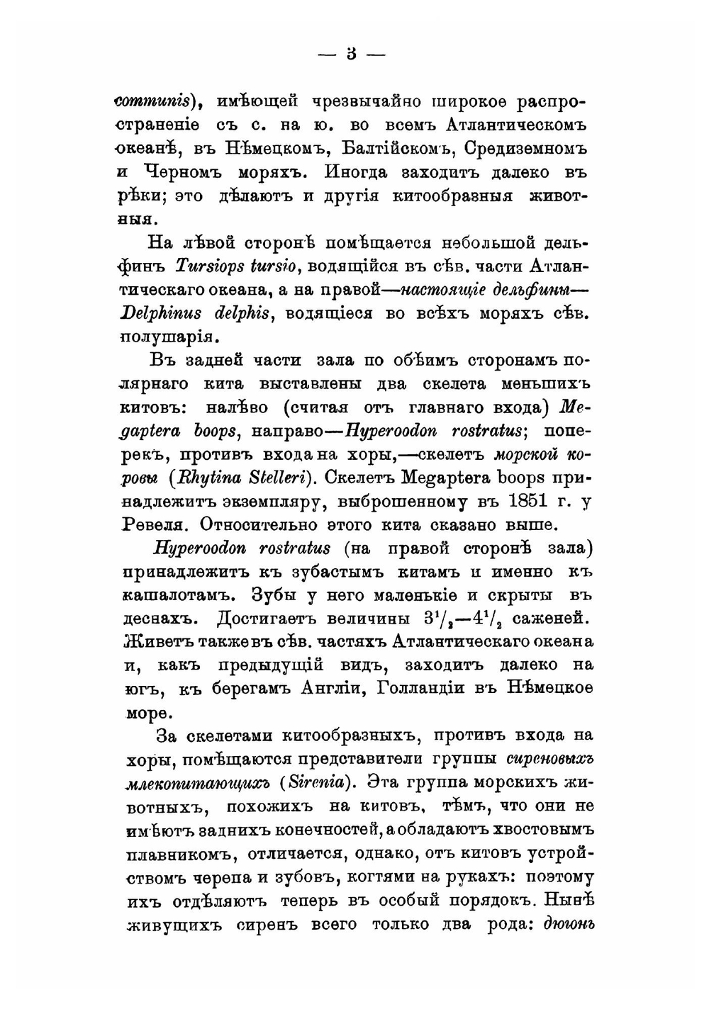 Путеводитель по Зоологическому музею Императорской Академии наук | Нет автора
