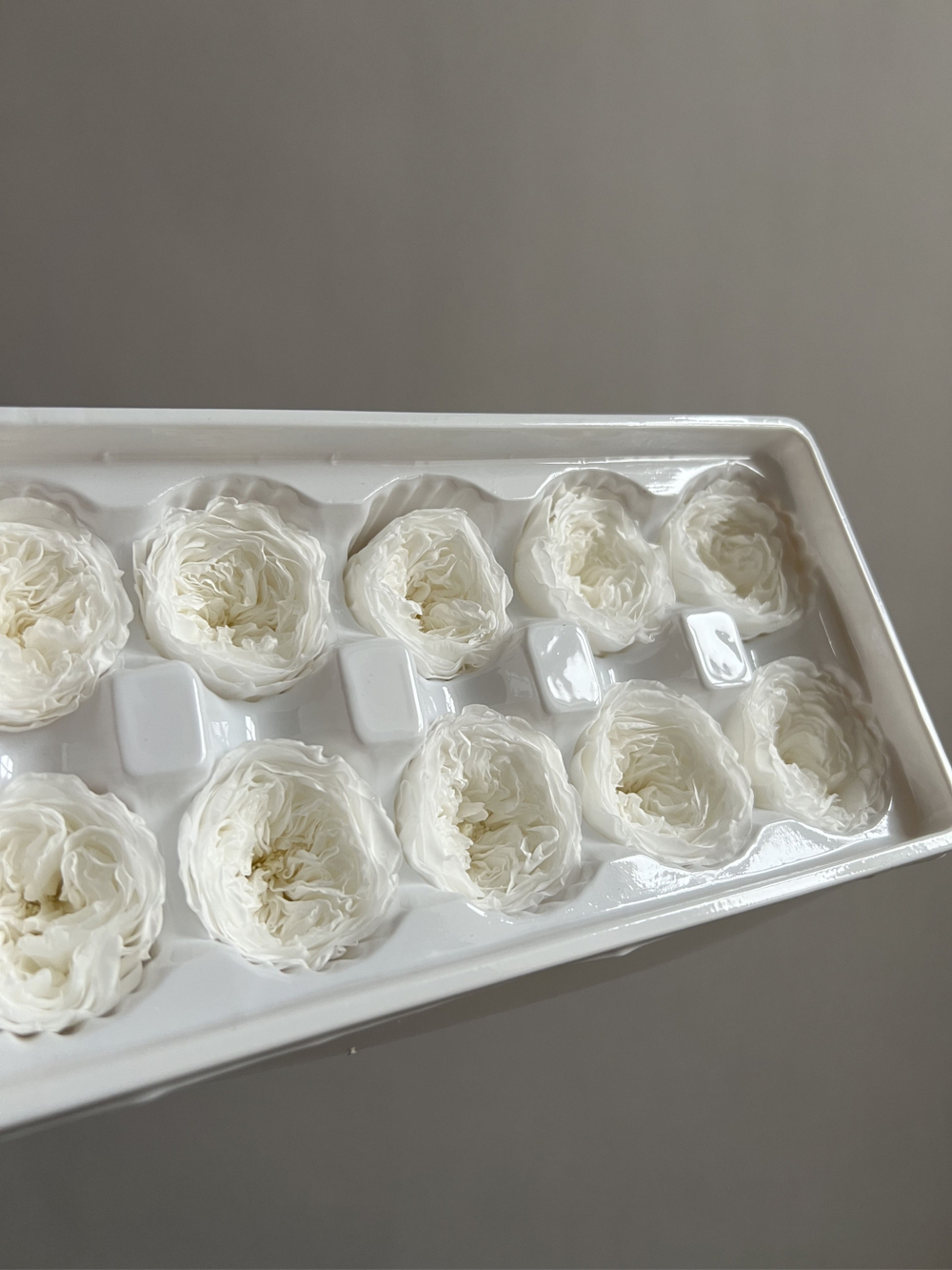 Роза пионовидная белая d=3,5-4 см (упак 10 шт)