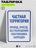 Табличка для парковки "Частная территория, проход и проезд запрещены", для дома, офиса, организаций, 40х30 см, Silver Plane x Айдентика Технолоджи
