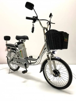 Электровелосипед Green Camel Транк 20 V8