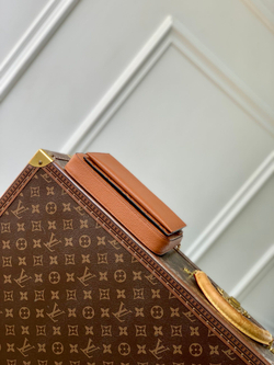 Louis Vuitton Felicie Pochette