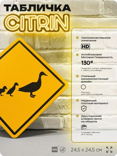 Табличка прикольная "Осторожно, утки" на дверь и стену, информационная и предупреждающая, декоративный знак, 24,5х24,5 см, пластиковая, Айдентика Технолоджи