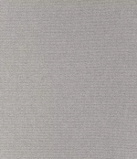 Ткань "Данди" стальной