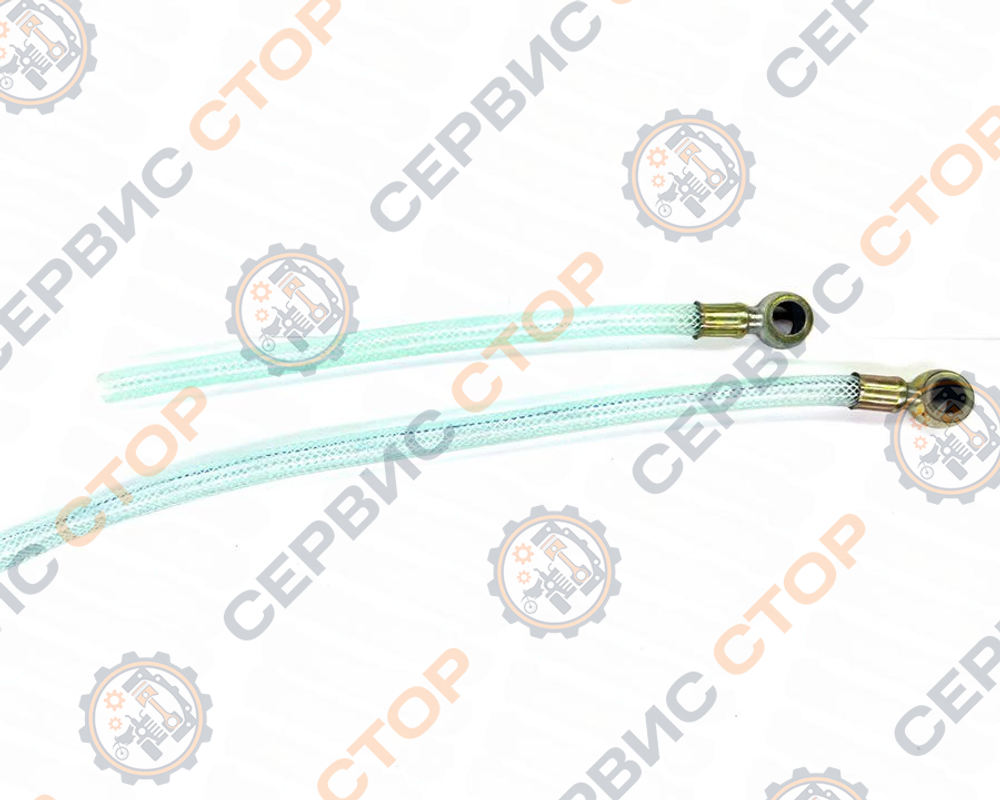 DeWatermark.ai_1735278008753