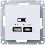 Розетка USB  Systeme Electric ATN001329