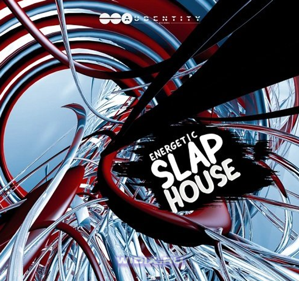 Audentity Records - Energetic Slap House (MIDI, WAV, SERUM, SPIRE, SYLENTH) - сэмплы slap house