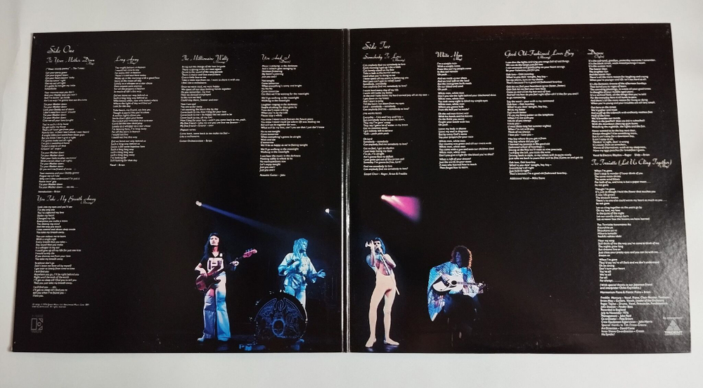 Винтажная виниловая пластинка Queen A Day At The Races (Japan 1976) (No Obi)