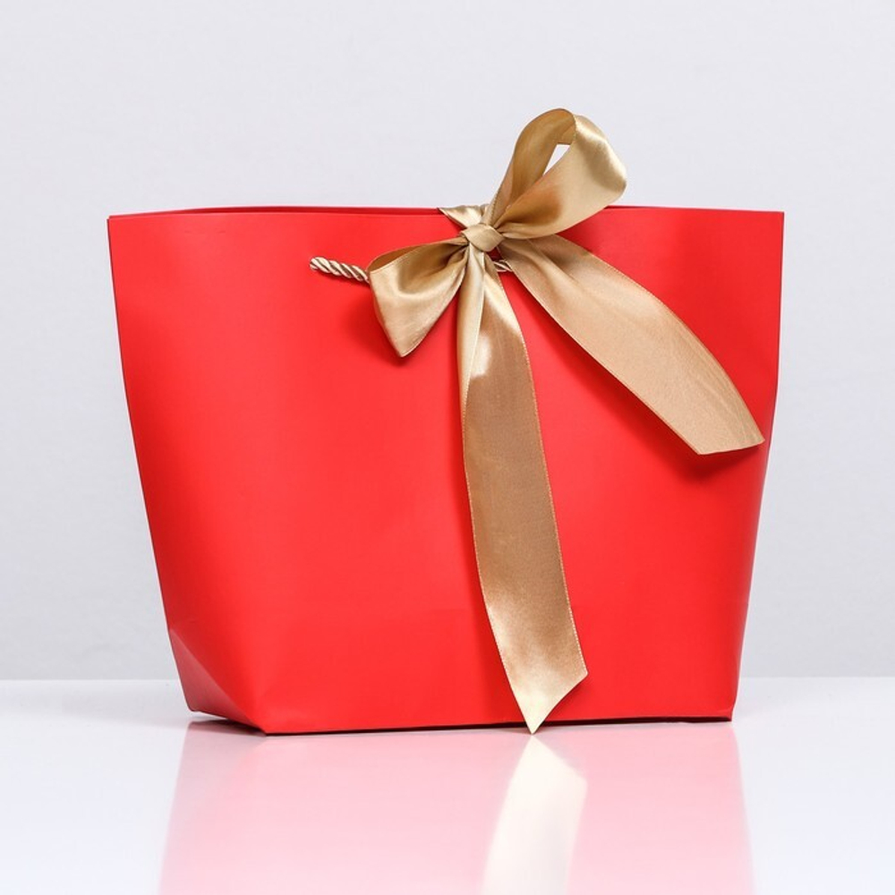 Пакет подарочный с лентой 19 х 20 х 9 см "Красный"