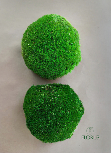 Мох Кочки, 1 уп.