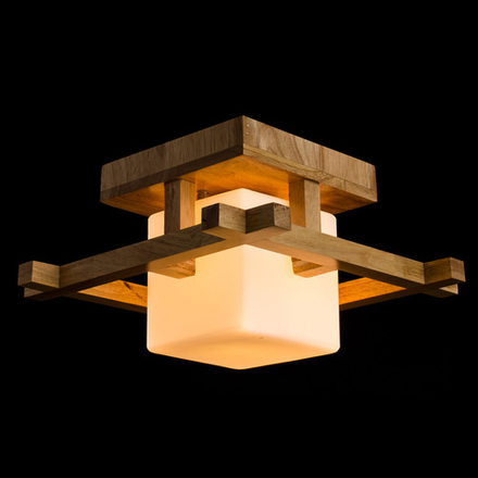 Потолочный светильник Arte Lamp WOODS