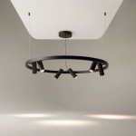 Подвесная люстра Maytoni SATELLITE MOD102PL-L42BK