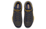 Кроссовки Jordan Air Jordan 32 Low Michigan