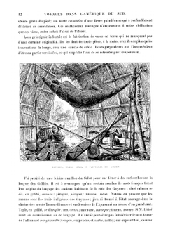 Voyages dans l'Amérique du Sud | Docteur J. Crevaux