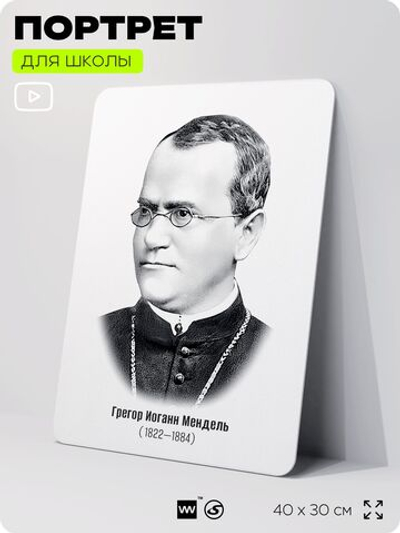 Портрет для школы в кабинет биологии "Грегор Иоганн Мендель", стенд школьный для класса, деятели науки для оформления классного уголка, 40х30 см, Silver Plane x Айдентика Технолоджи