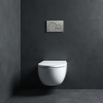 Кнопка смыва для инсталляции механическая WONZON & WOGHAND, Темный графит (WW-IB232-BGM)