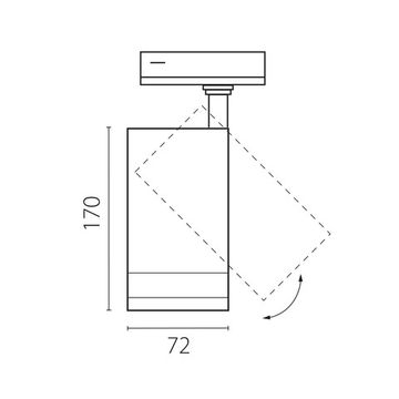 Светильник д/треков BARRA 1400LM 20-55G с тонким адаптером 20W 2700-6000K C4206SS белый Canno Pro Lightstar