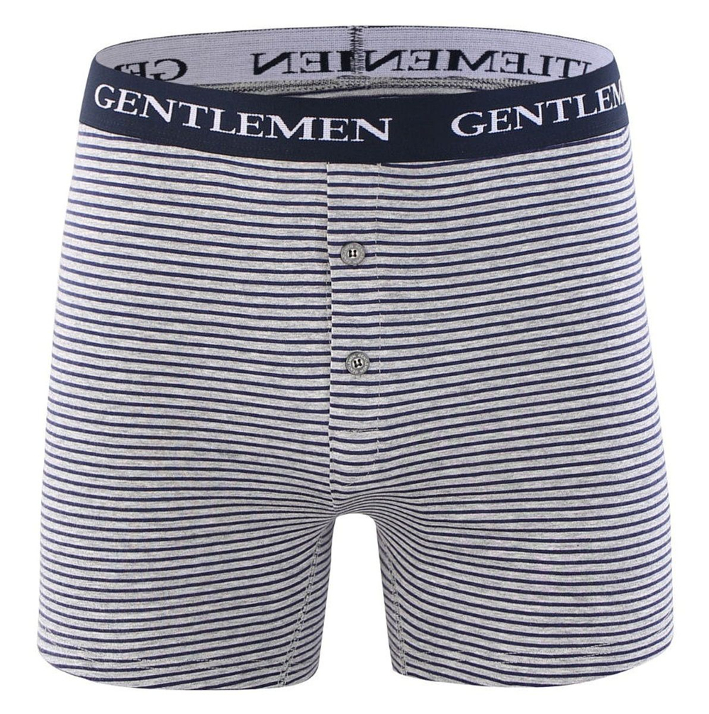 Хлопковые трусы-боксеры с тонкой полоской и брендированной резинкой (Размер: XXL) (Цвет: серый с чёрным)