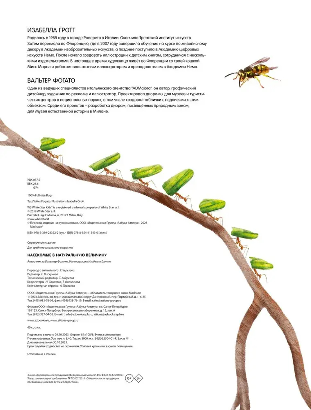Насекомые в натуральную величину