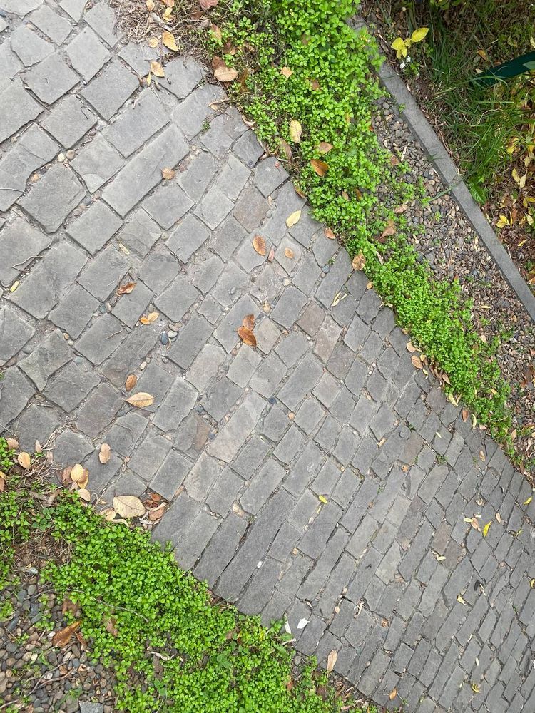 Брусчатка песчаник колотый