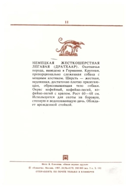 Почтовая открытка СССР - Дратхаар 1987 г.