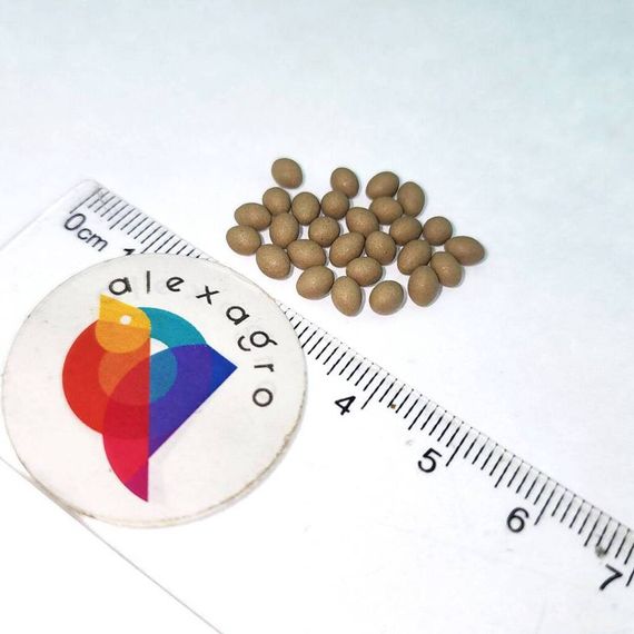 Экзакт семена салата саланова (Rijk Zwaan /ALEXAGRO) семена