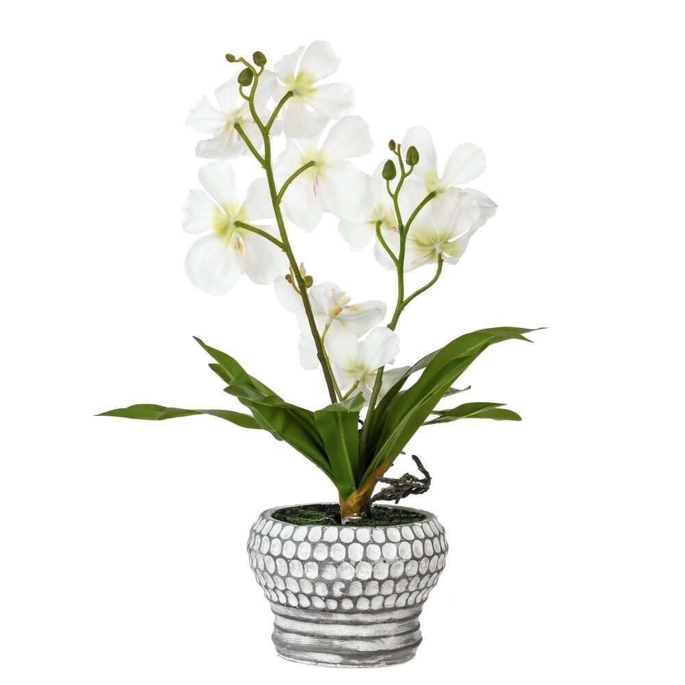 GAEM Цветочная композиция "Орхидея", L25 W23 H41 см