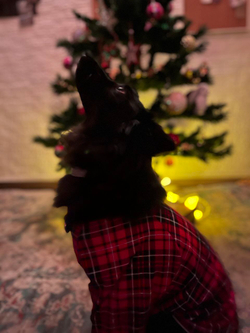 Пижамка новогодняя