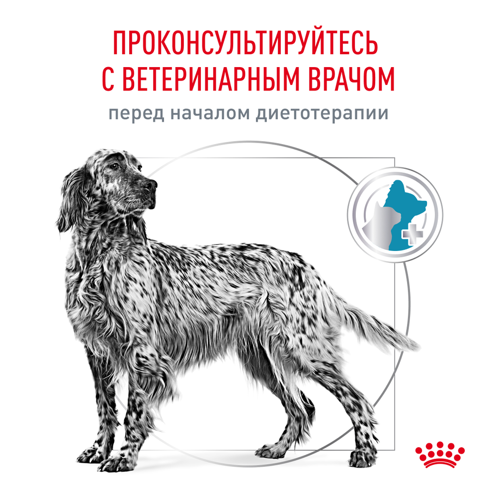 Royal Canin Hypoallergenic Canine Гипоаллердженик канин Корм сухой диета для взрослых собак при пищевой аллергии 14кг