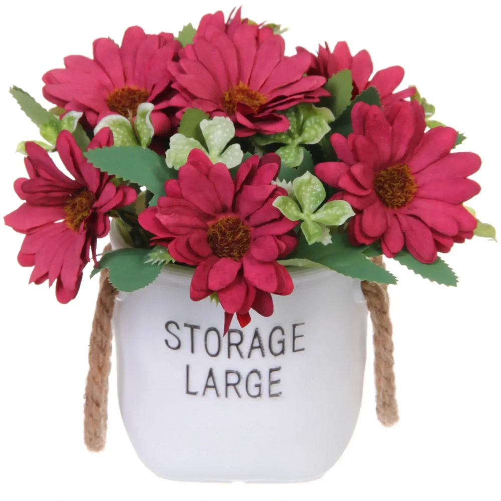 Цветочная композиция «Мечта» 10*20см Ромашки бордовые