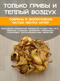 Сушеные Лисички натуральные