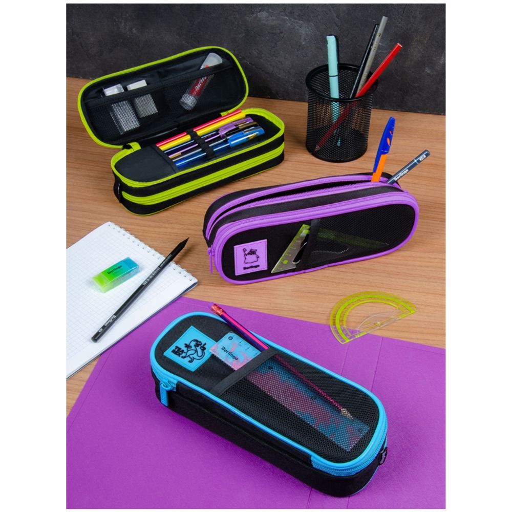 Пенал мягкий 2 отделения, 220*80*50 Berlingo "Tea rex", полиэстер, внутр. органайзер