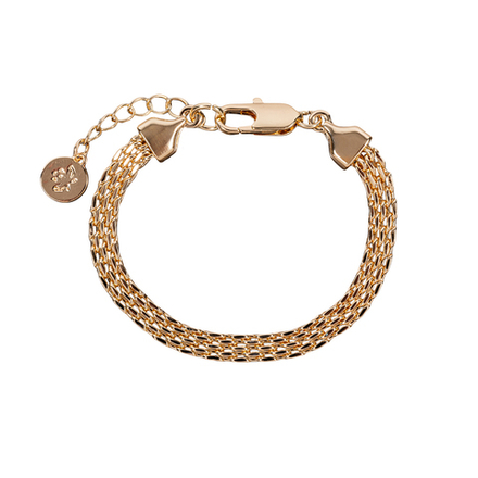 Браслет Fiore Luna Chain Сarabiner CL4510 G