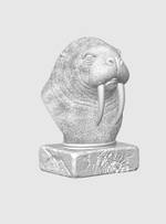 Морж