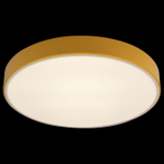 Накладной светильник Loft it Axel 1 10002/24 Yellow