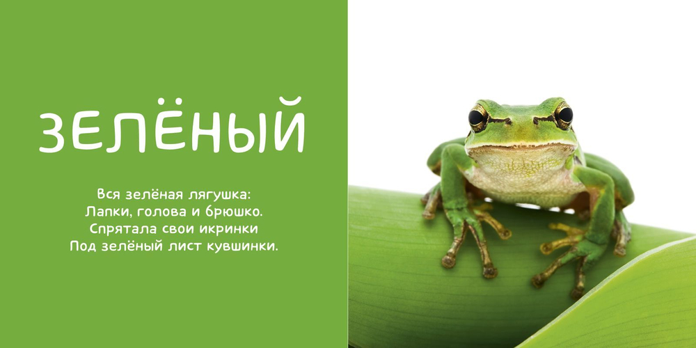 Мои первые слова. Фото-книга. Цвета МИНИ