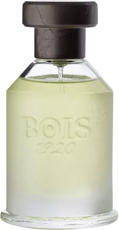 BOIS 1920 AGRUMI AMARI DI SICILIA EDP 100 ML